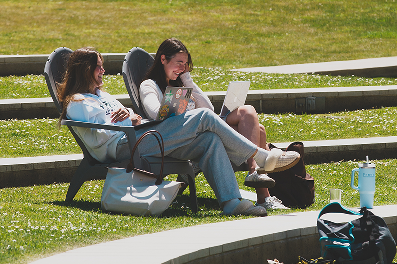 Students studying on the lawn